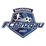 Pinzgau Saalfelden