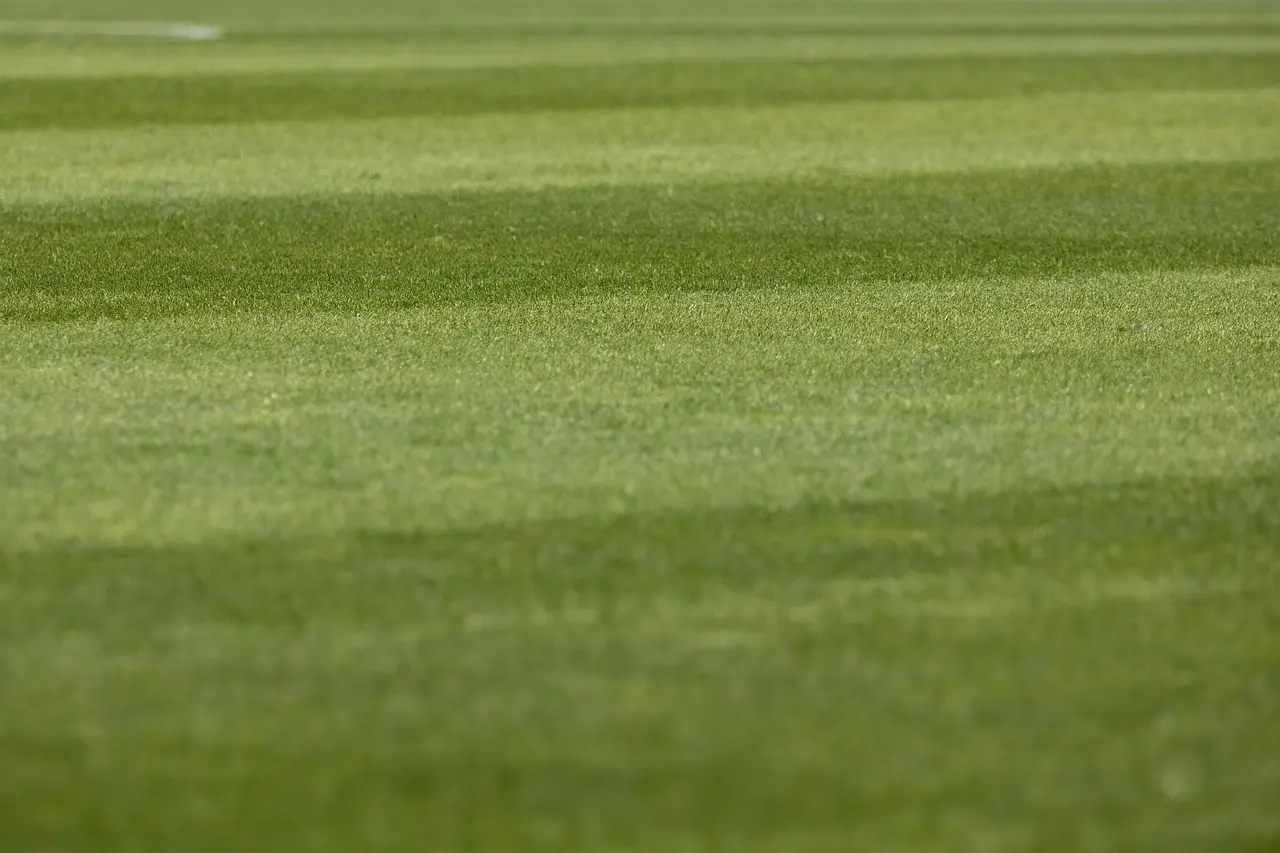 Målrig runde i Regionalliga West – sene afgørelser, vendte kampe og klare udesejre i runde 6