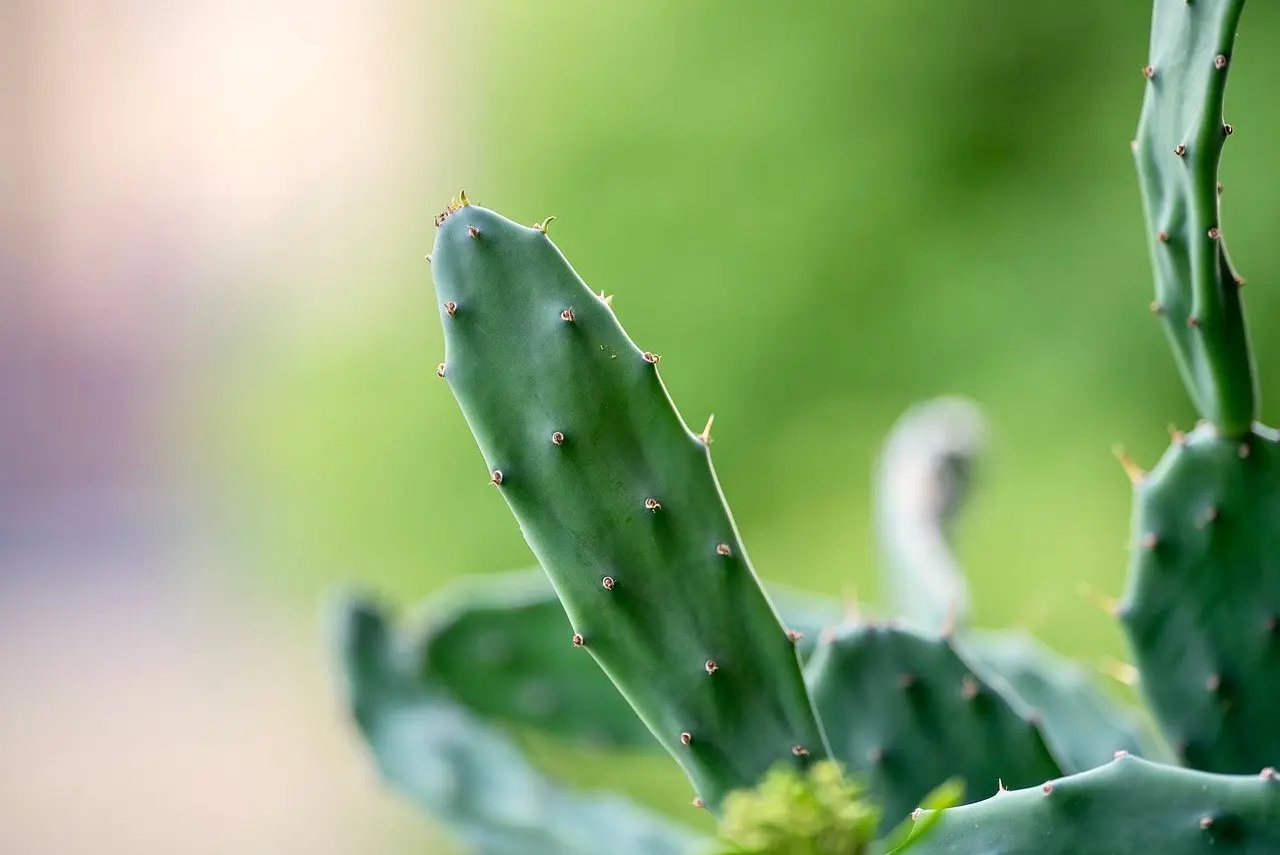 Medvirkende i In Time